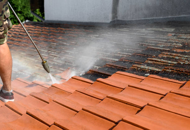 Best Deck Cleaning Services  in Harvey, LA