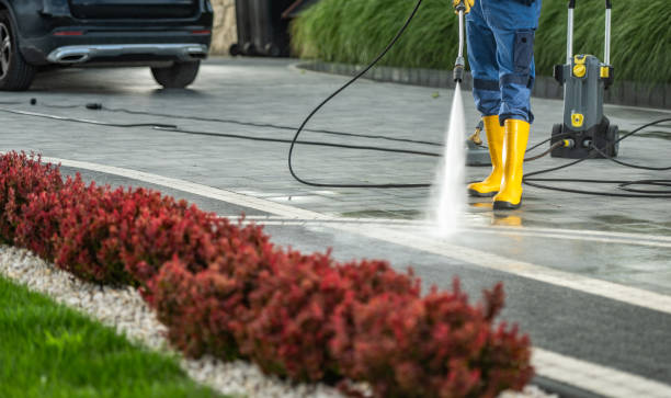 Best Deck Cleaning Services  in Harvey, LA