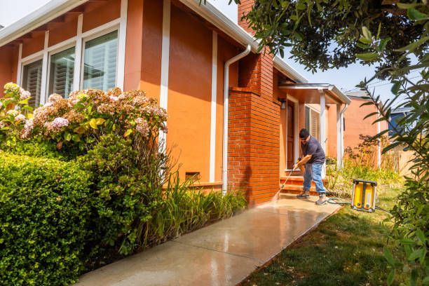 Best Power Washing Near Me  in Harvey, LA