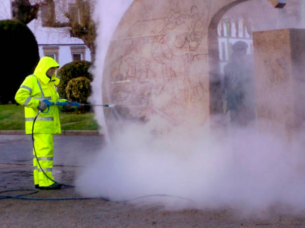 Best House Pressure Washing  in Harvey, LA